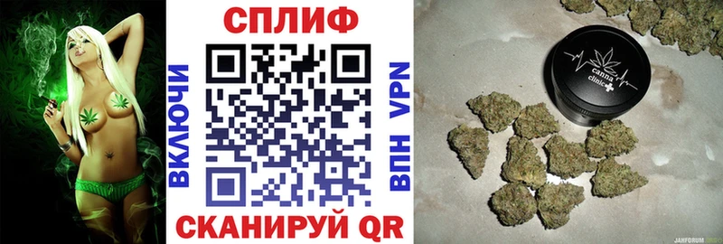 shop состав  Малмыж  Конопля гибрид  наркошоп 